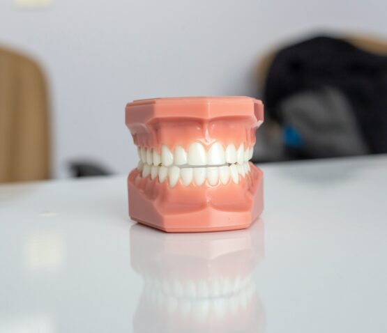 En dentalmodell av mänskliga tänder är placerad på en vit yta, med en suddig bakgrund inklusive en stol och ett otydligt föremål, vilket återspeglar tandläkarens yrkesmiljö.
